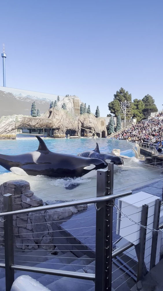 SeaWorld San Diego