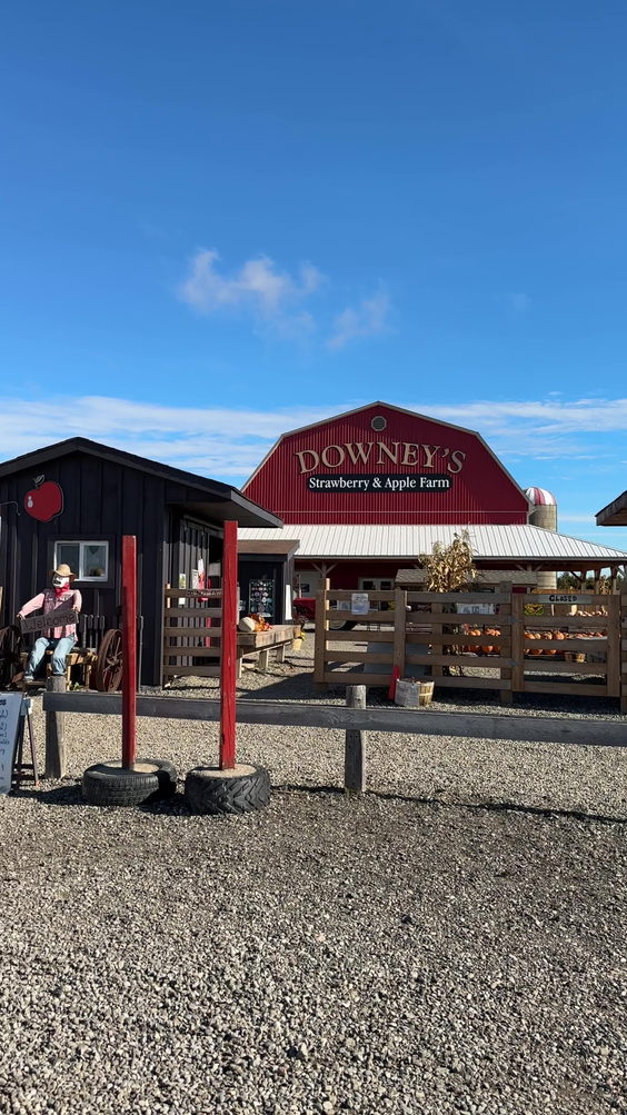 Downey's Strawberry and Apple Farm
