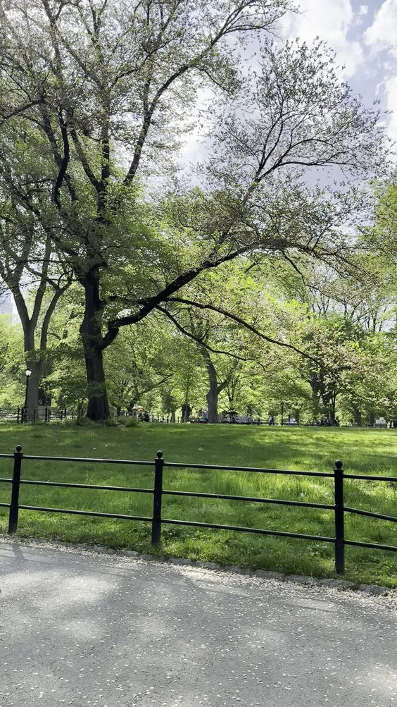 Central Park