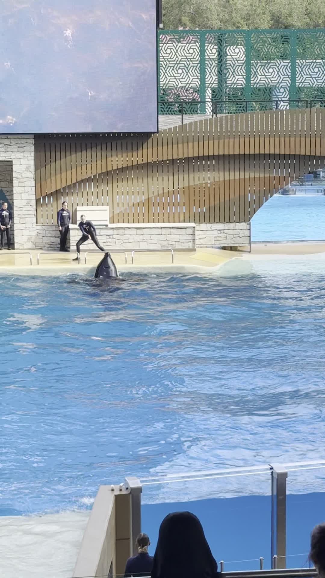 SeaWorld Orlando