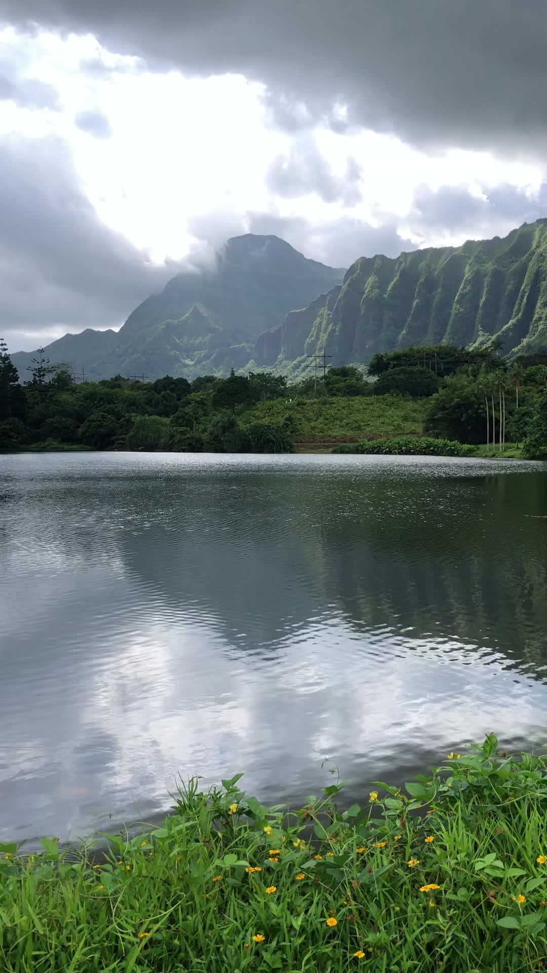 Hoomaluhia Botanical Garden