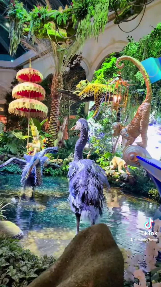 Bellagio Spa & Salon