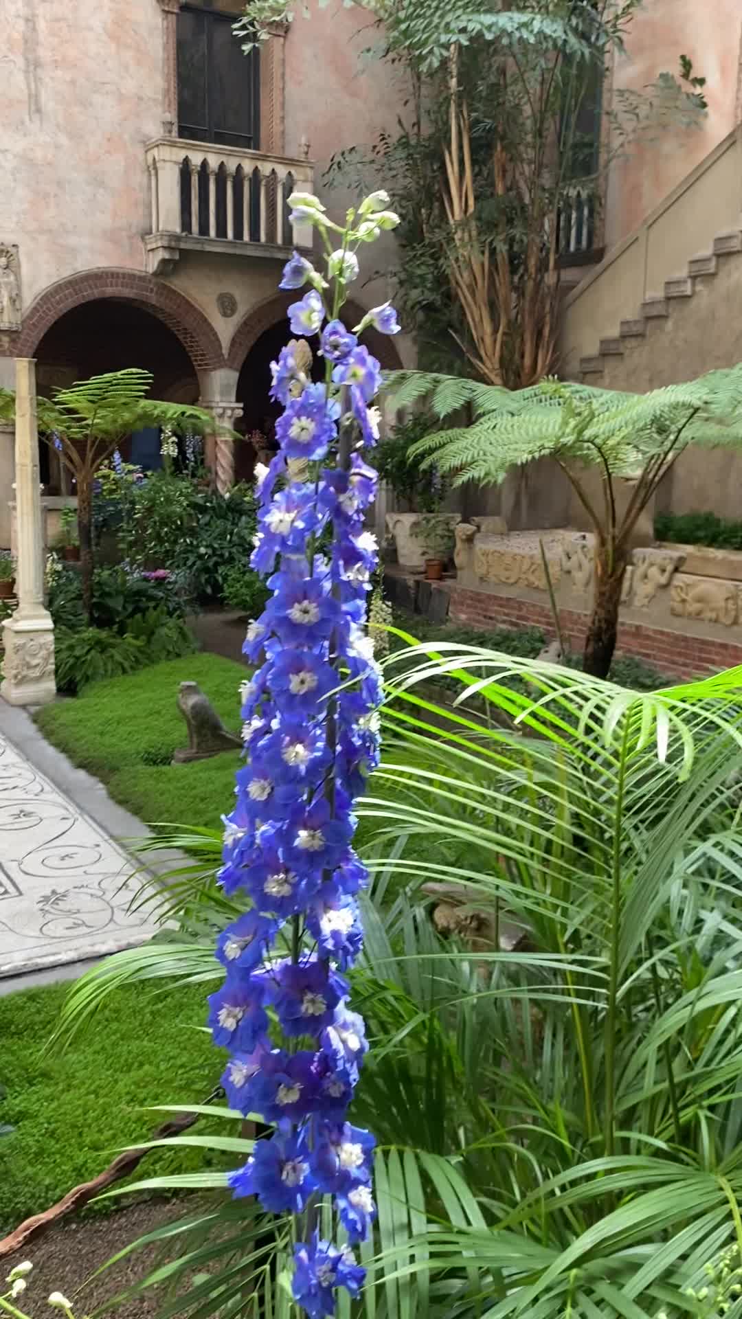 Isabella Steward Gardner Museum