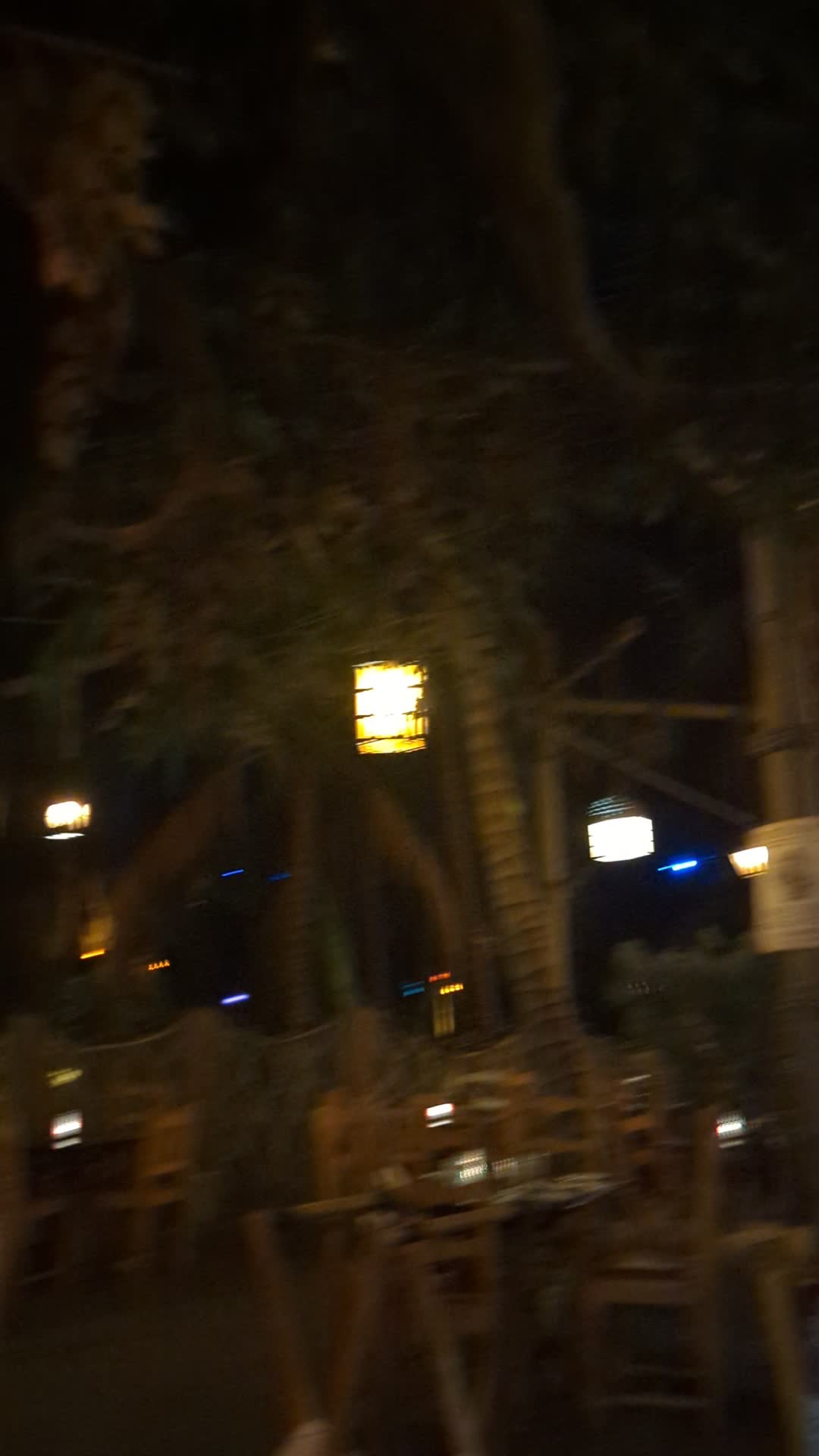 Captain Hook's Pirate Ship