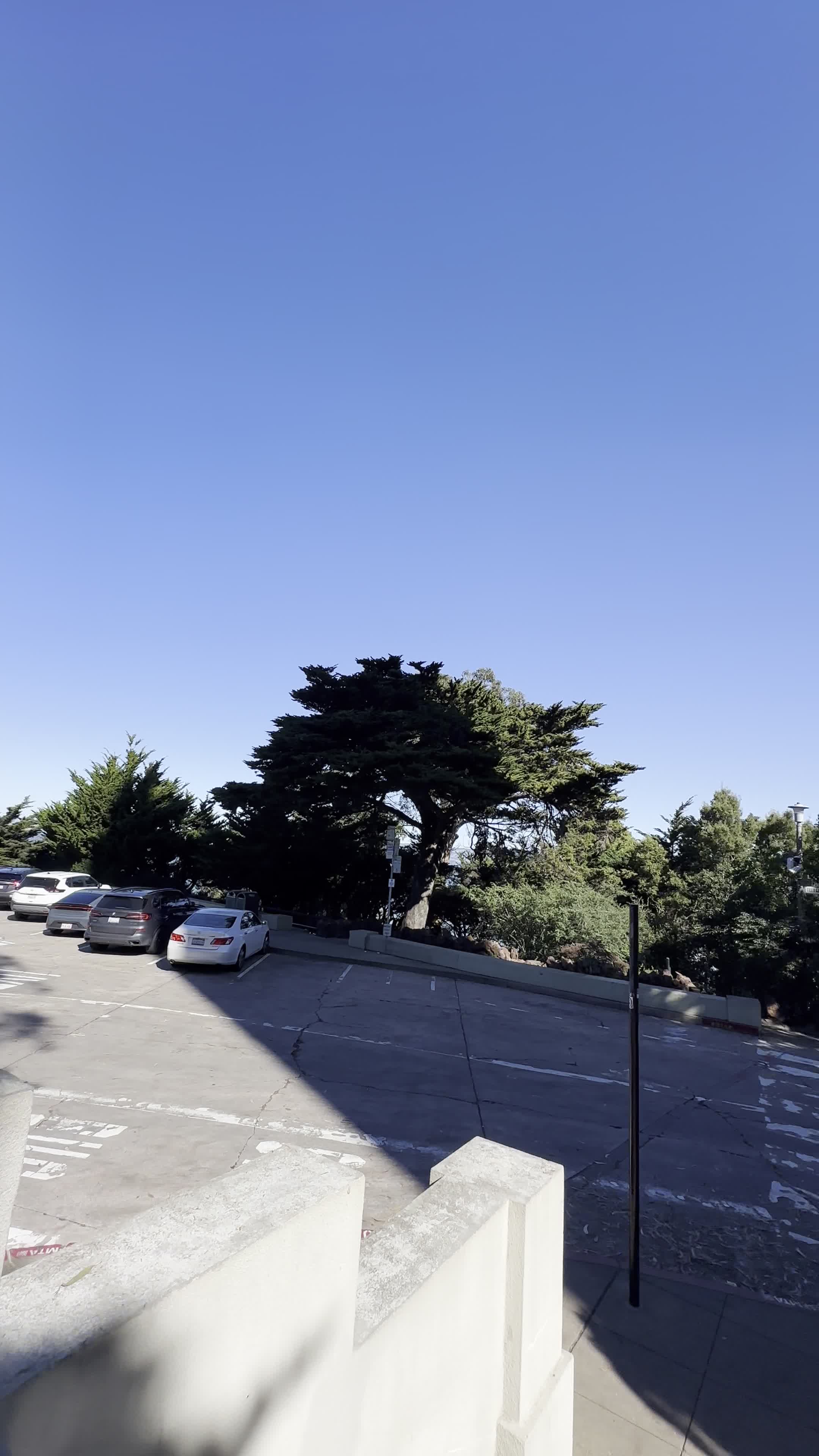 Video review of Coit Tower