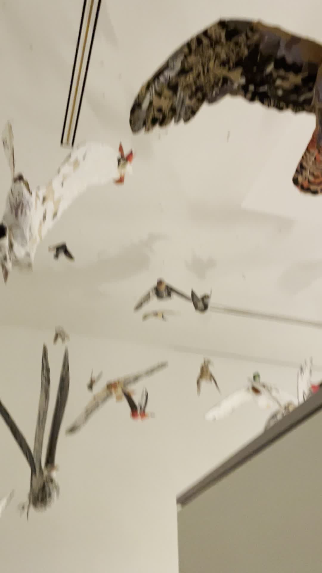 Video review of Portland Museum of Art