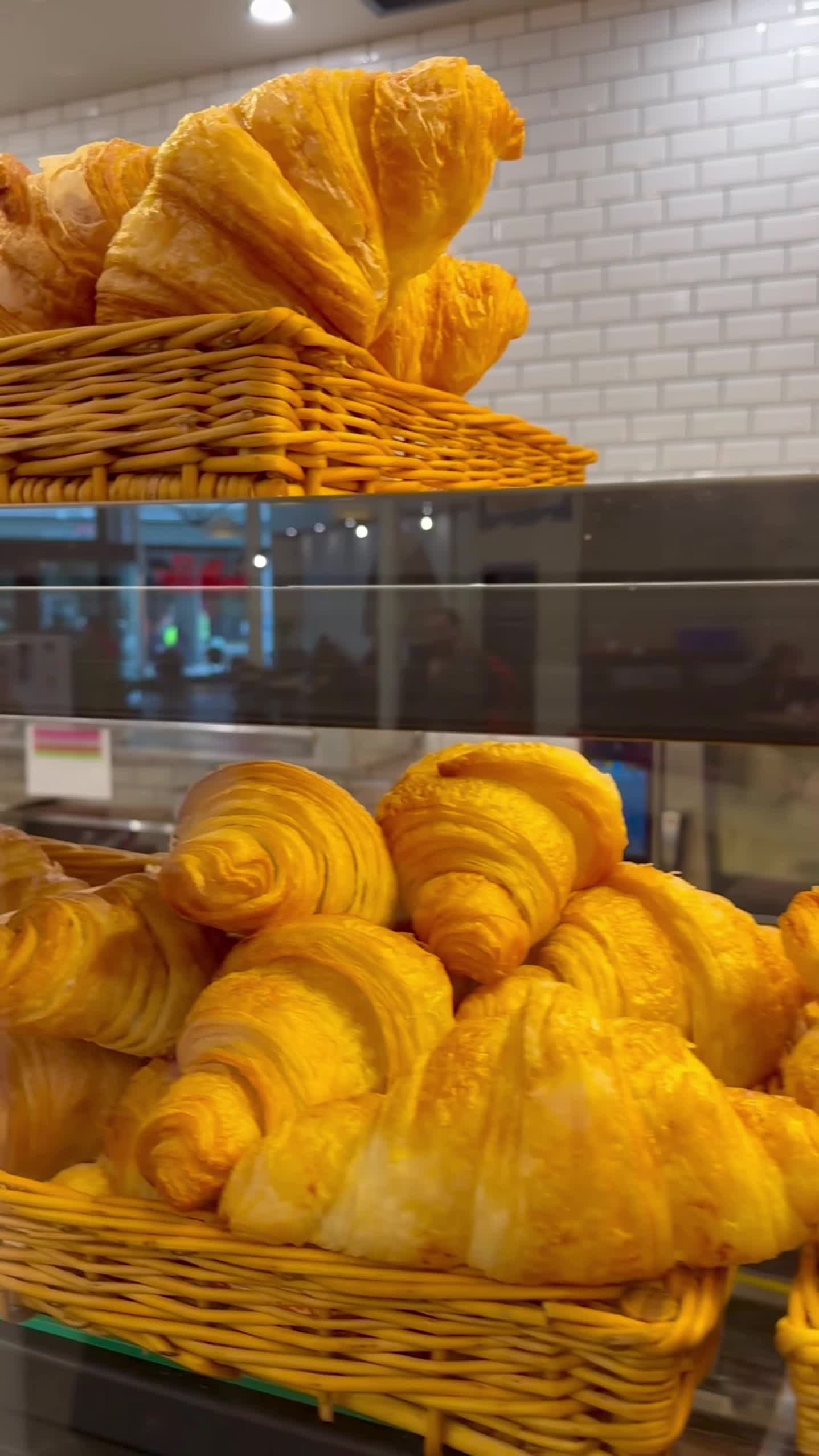 Video review of Paillard