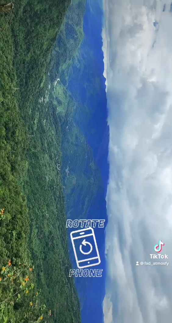 TrailLifeVI