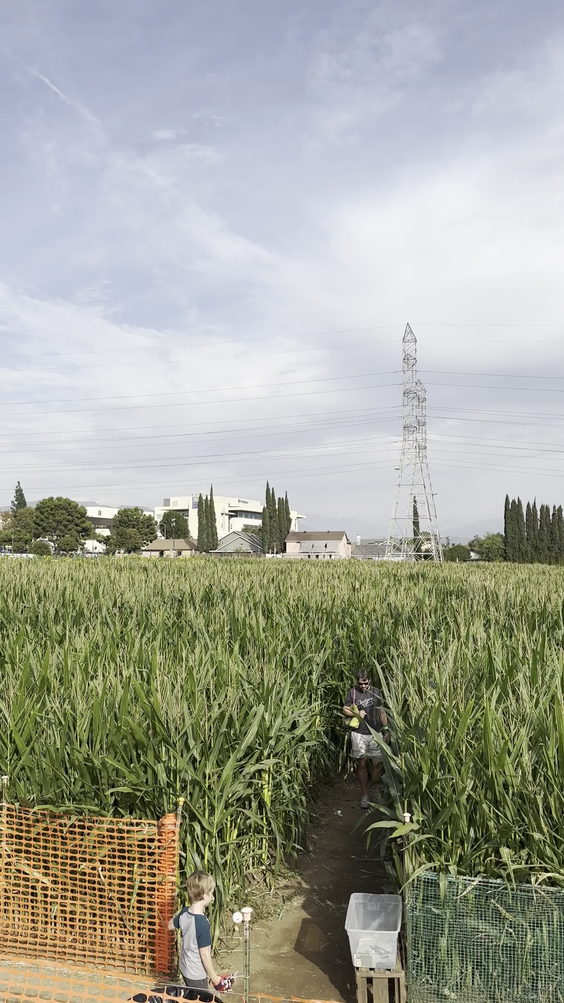 Forneris Farms