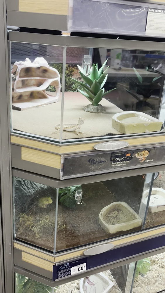 Petco