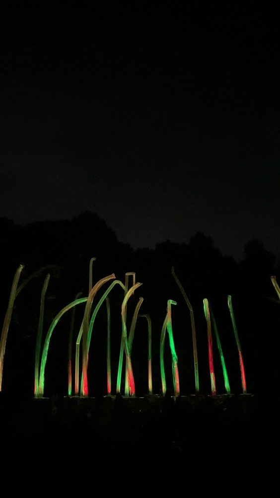 teamLab Botanical Garden Osaka