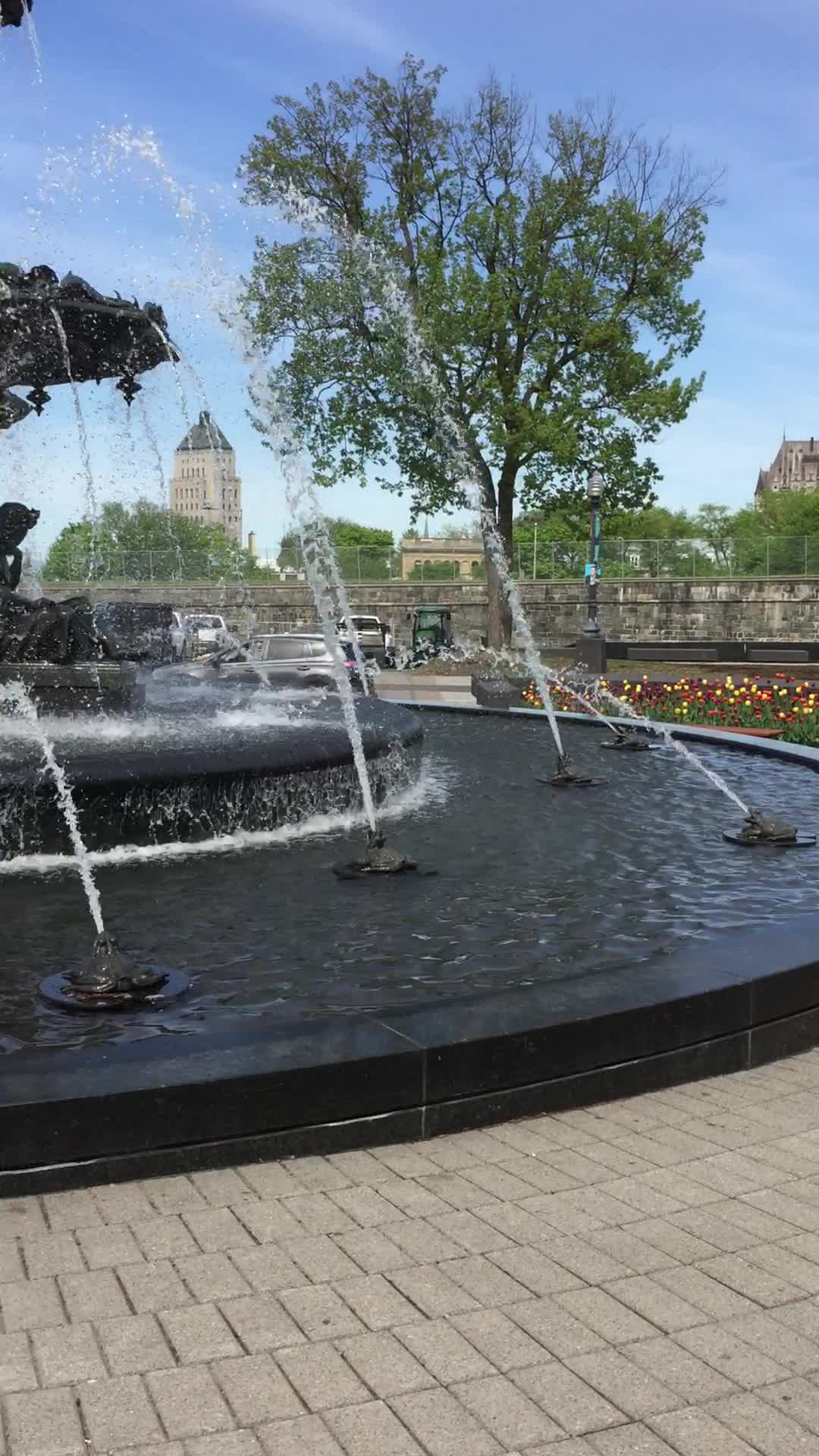 Video review of Fontaine de Tourny