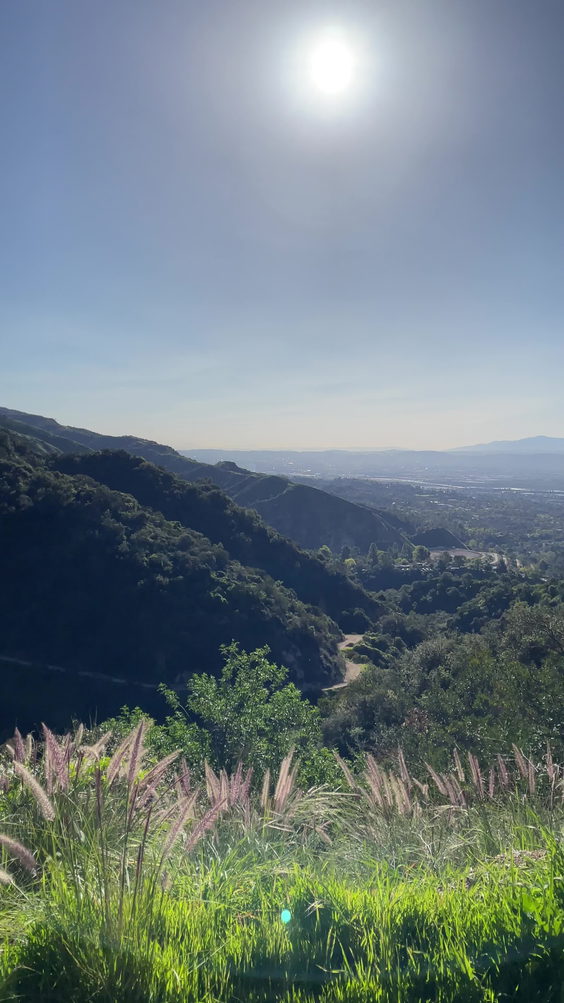 Hillside Wilderness Preserve
