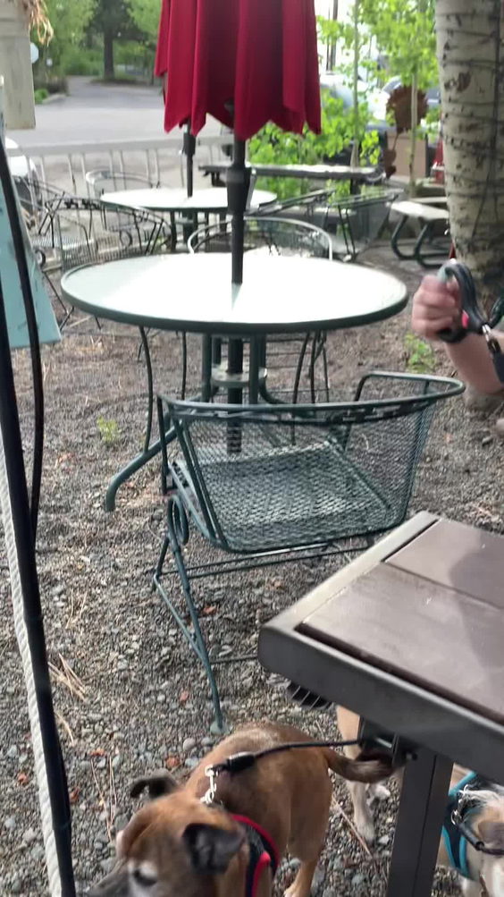 The Dam Cafe