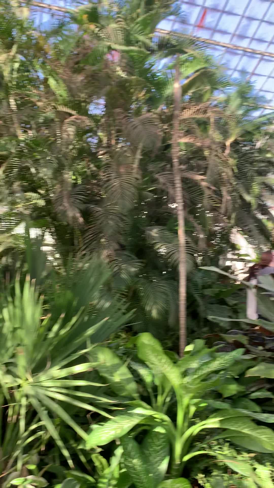 Birmingham Botanical Gardens