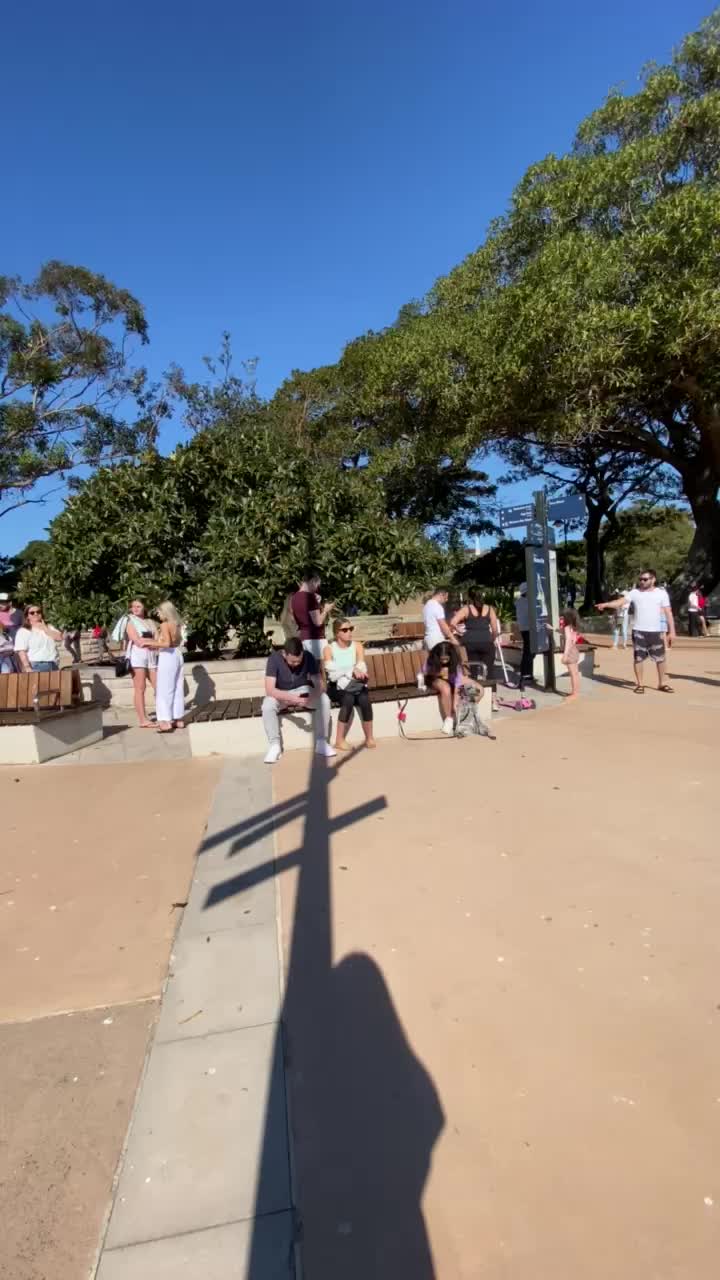 Video review of Doyles on the Wharf Take Away