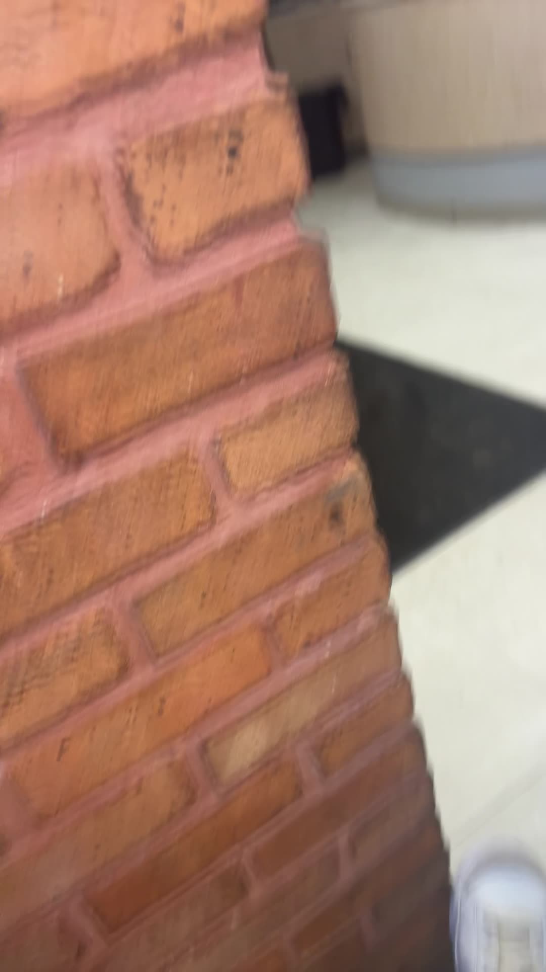 The Beagle Bagel Cafe