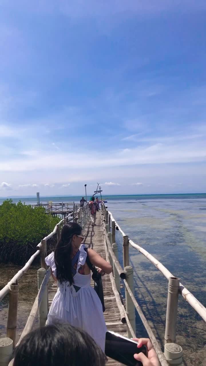 Omagieca Mangrove Garden
