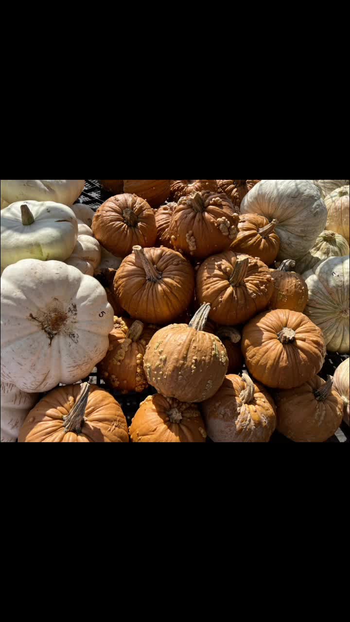 Video review of Gasko's Family Farms