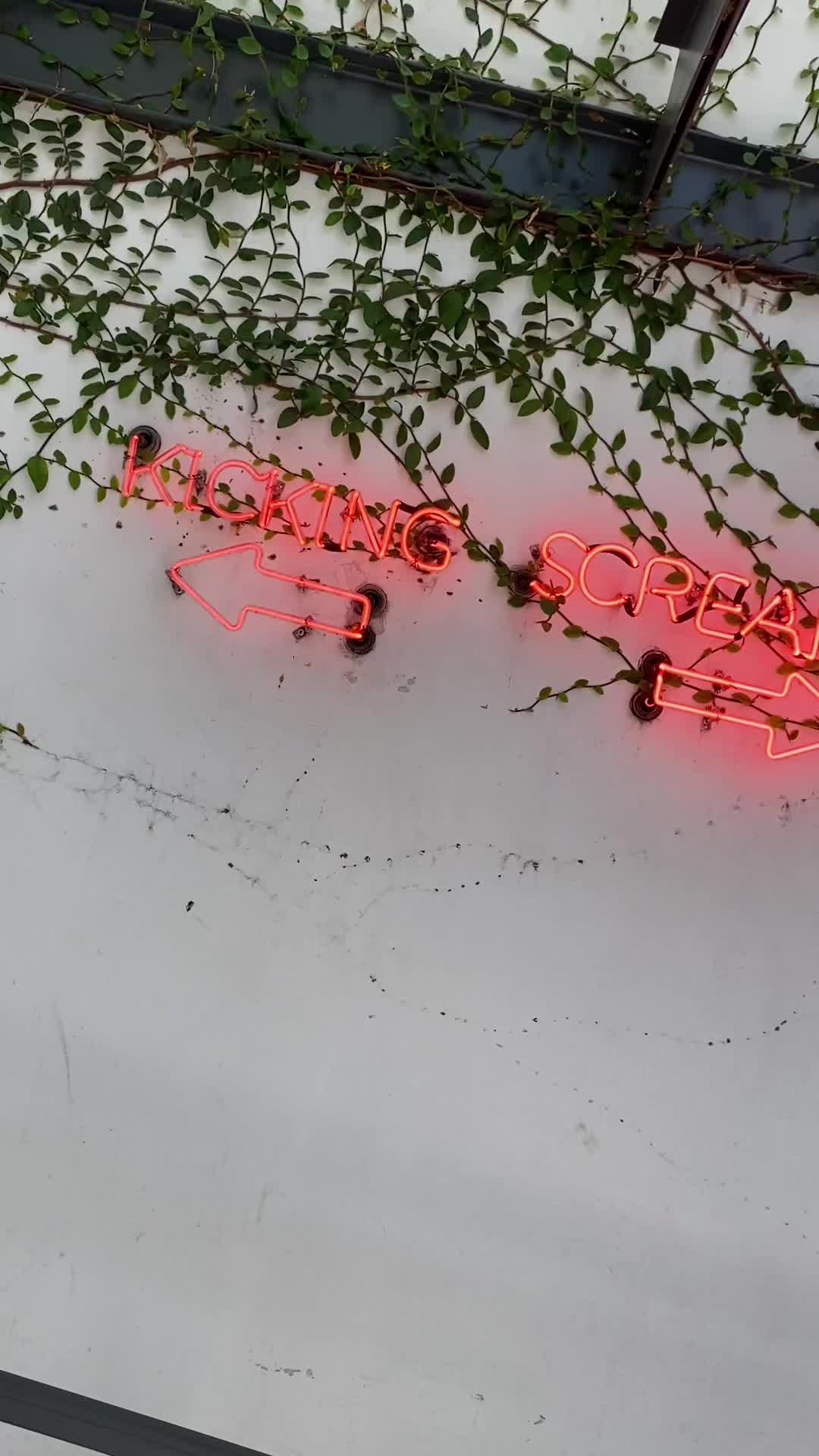 Video review of Resident