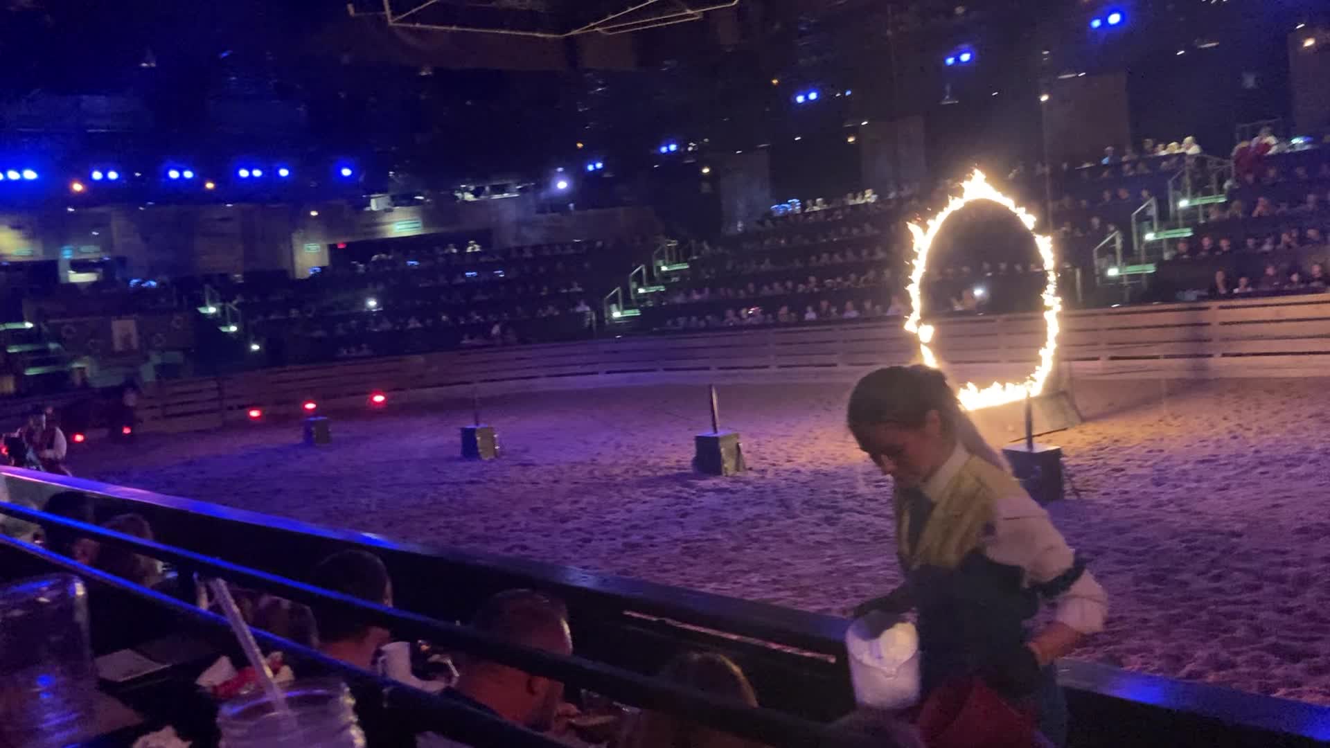 Video review of Dolly Parton's Stampede