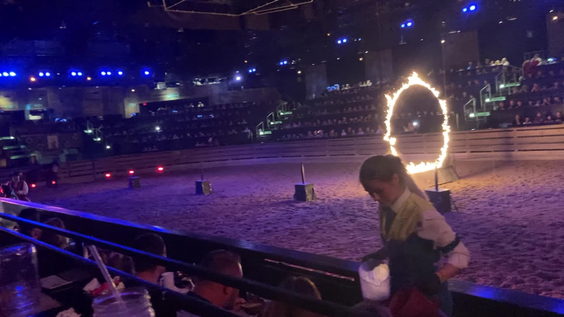 Dolly Parton's Stampede