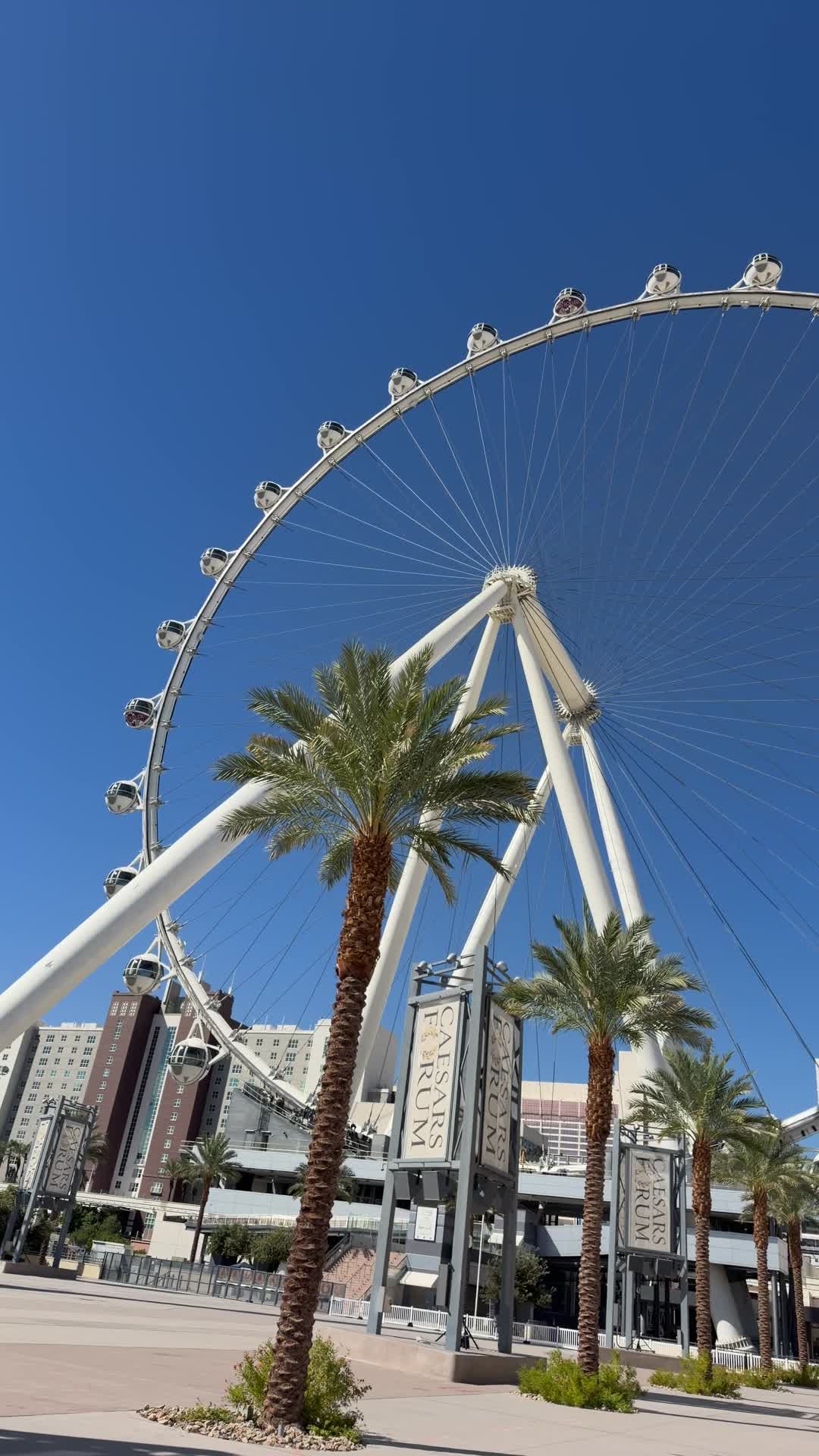 Video review of High Roller Observation Wheel