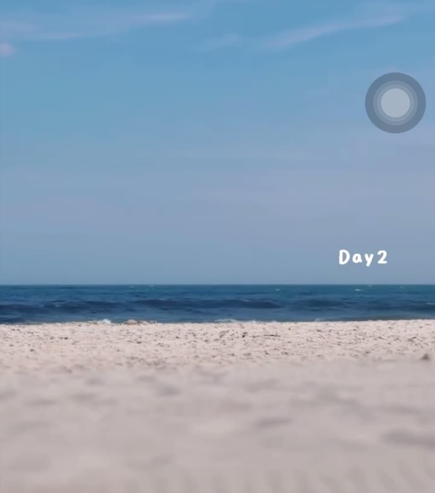 South Beach Bar & Grill