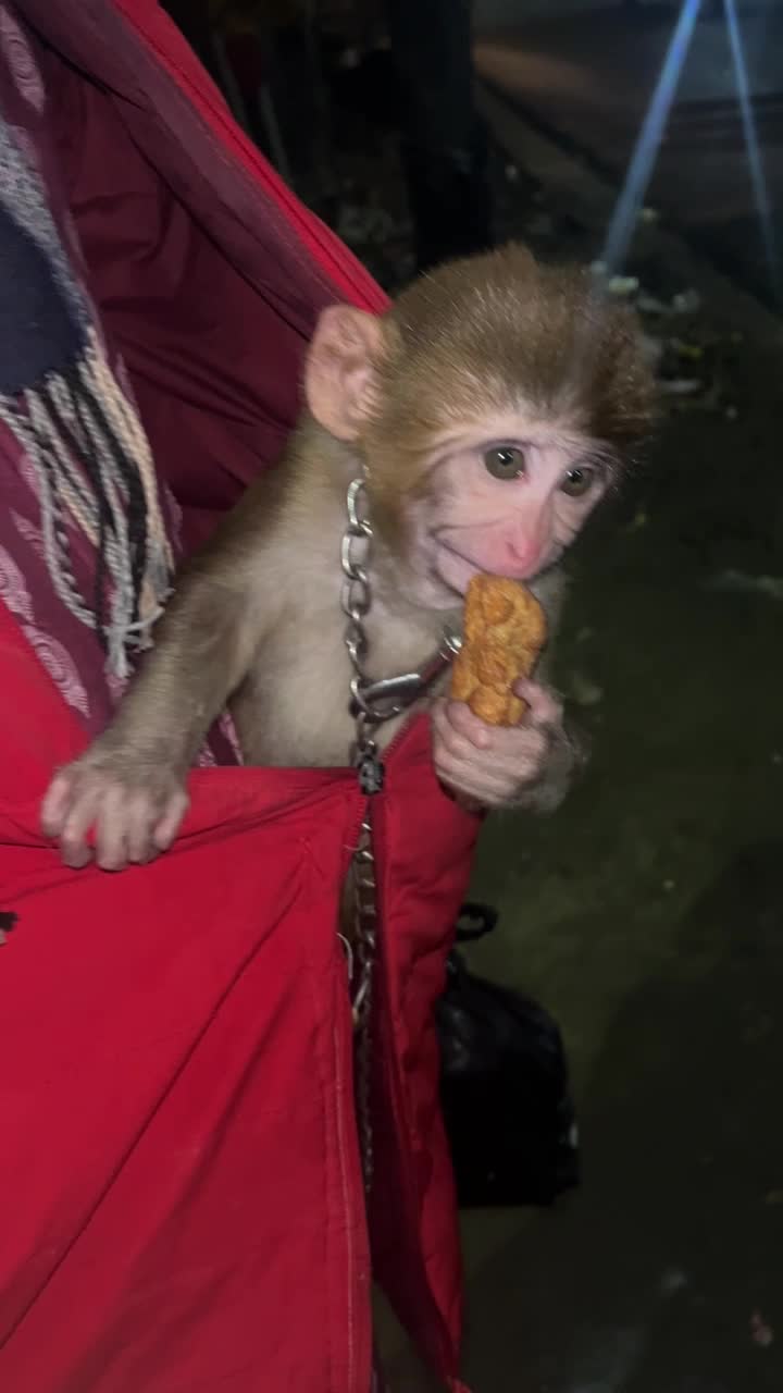 Yadav Tea Coffee Shop