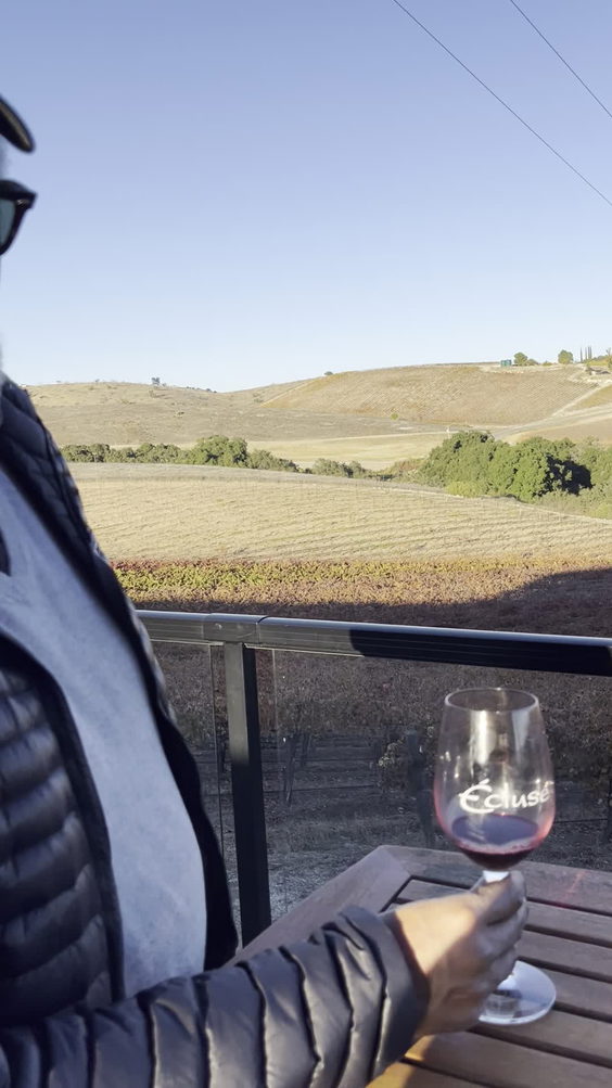 Ecluse Wines