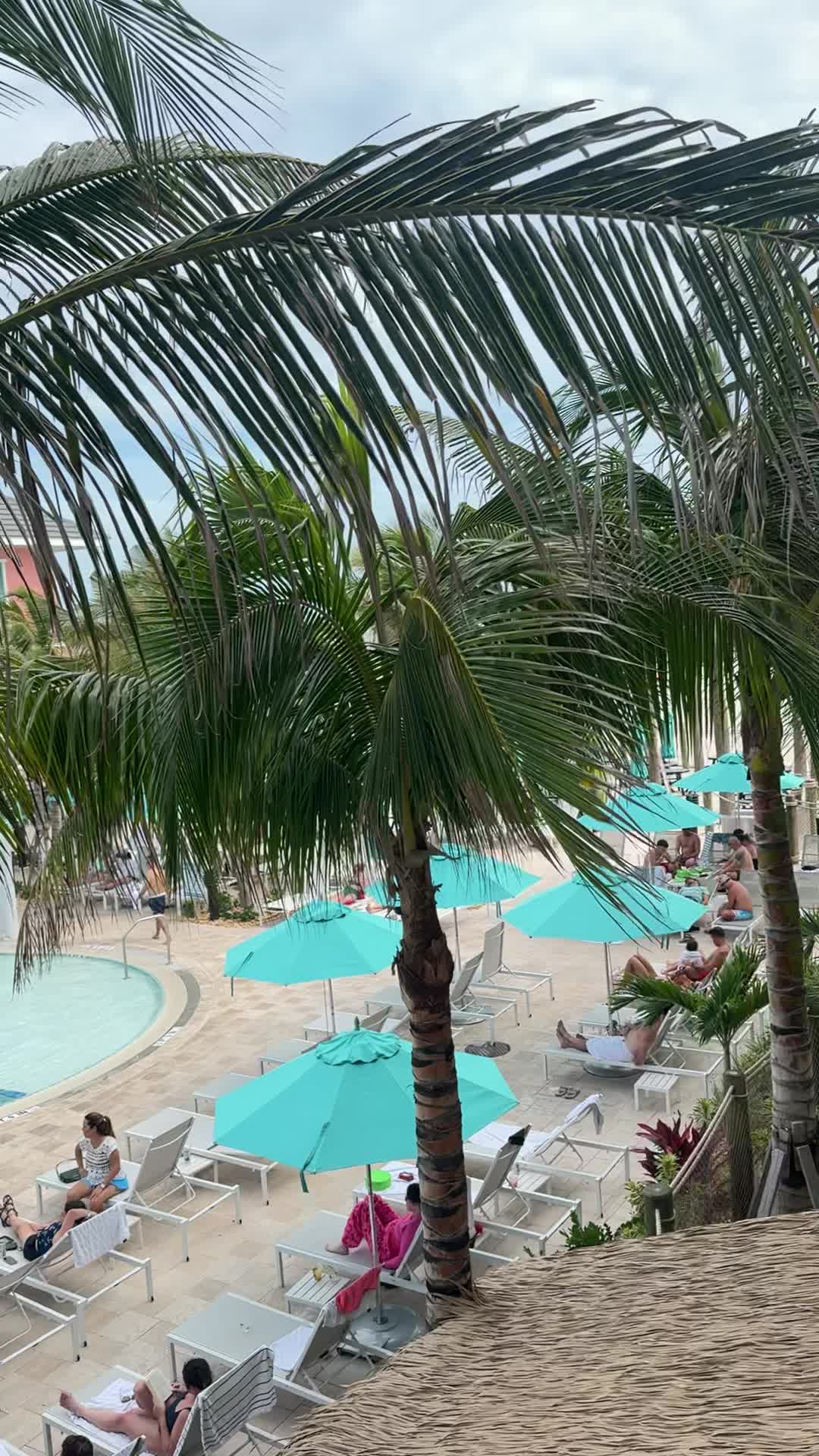 The Salty Crab Bar & Grill