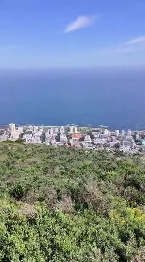 News Cafe - Table View