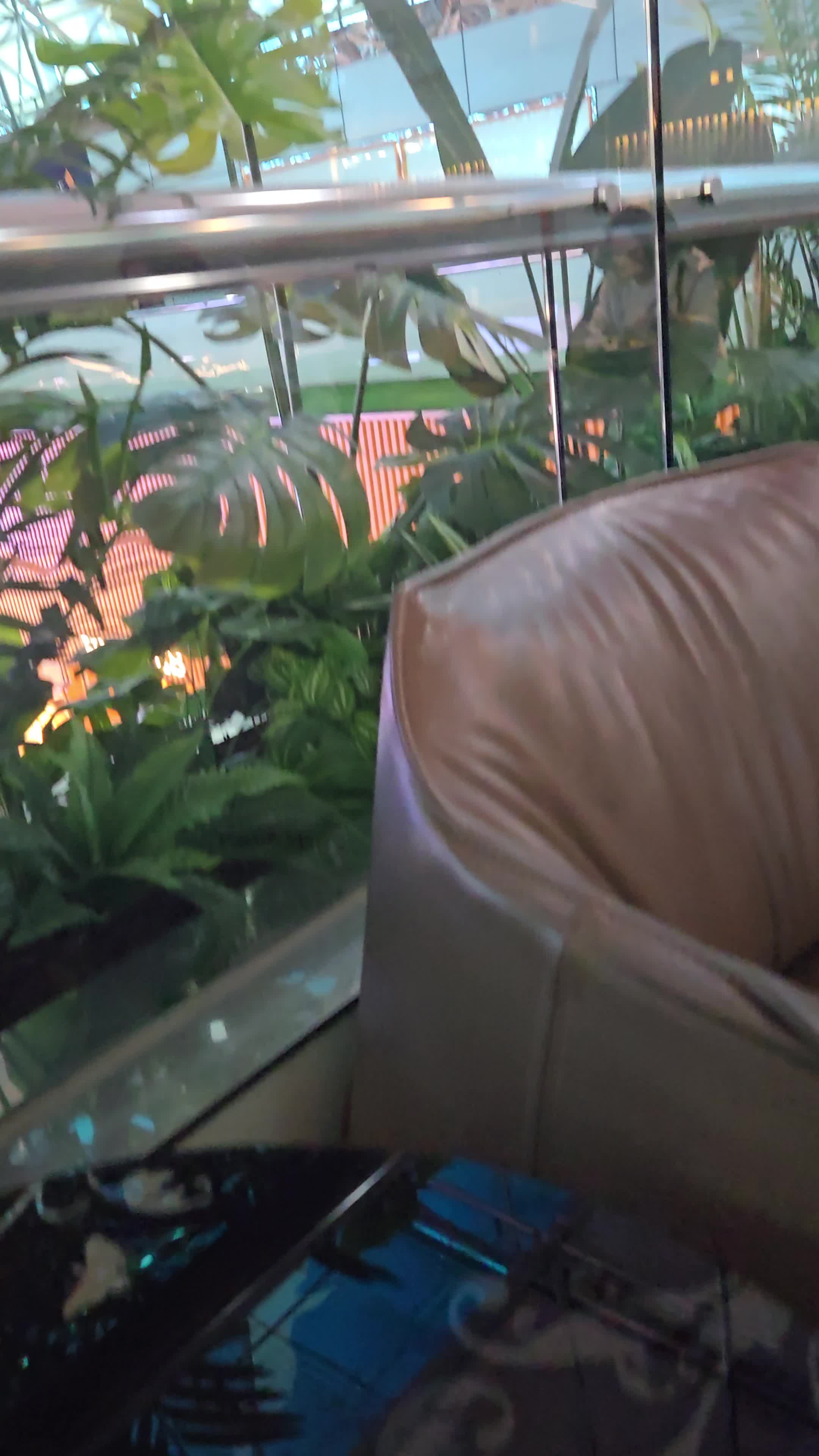 長榮航空 EVA Air The Garden Lounge