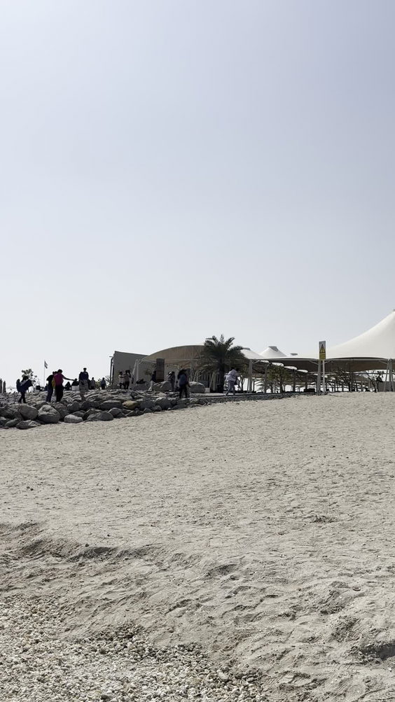 Sir Bani Yas Island