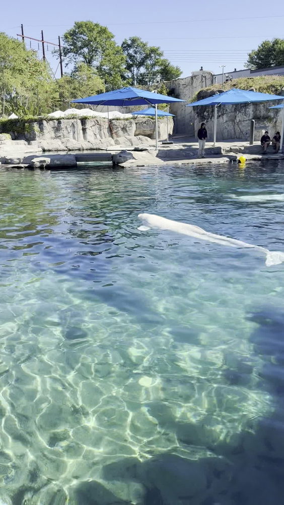 Mystic Aquarium