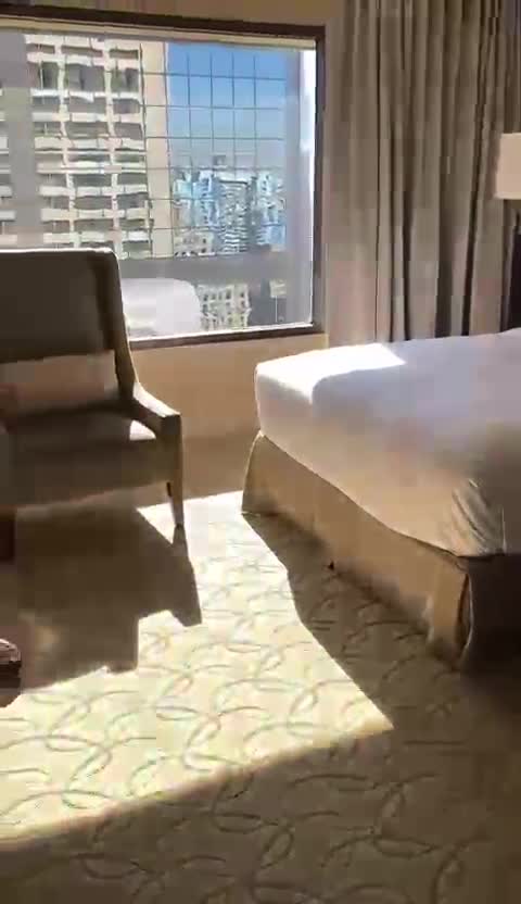 Hilton Toronto