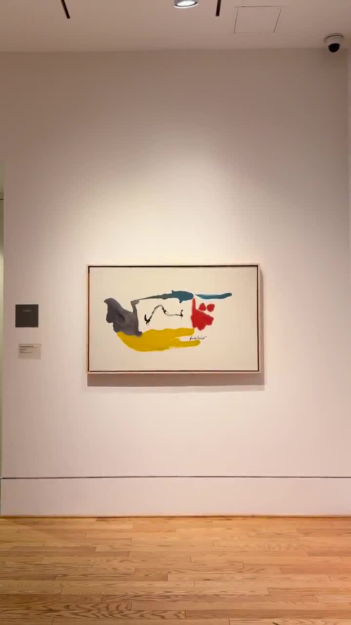 Video review of The Phillips Collection