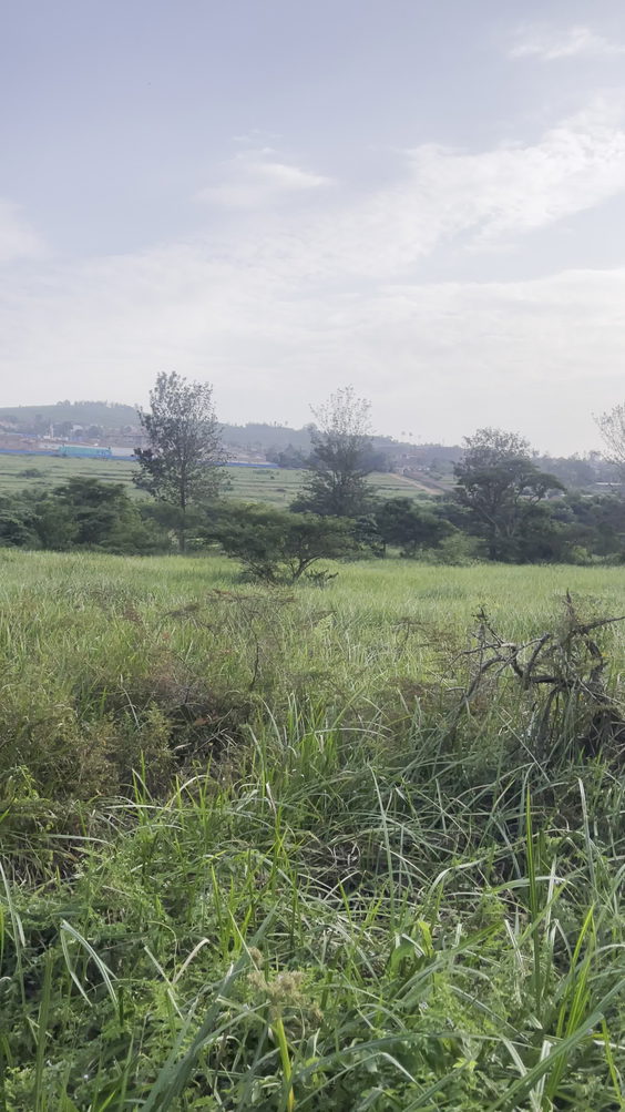 Kigali Guestlux