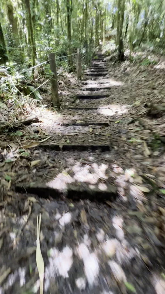 Parque Nacional La Tigra