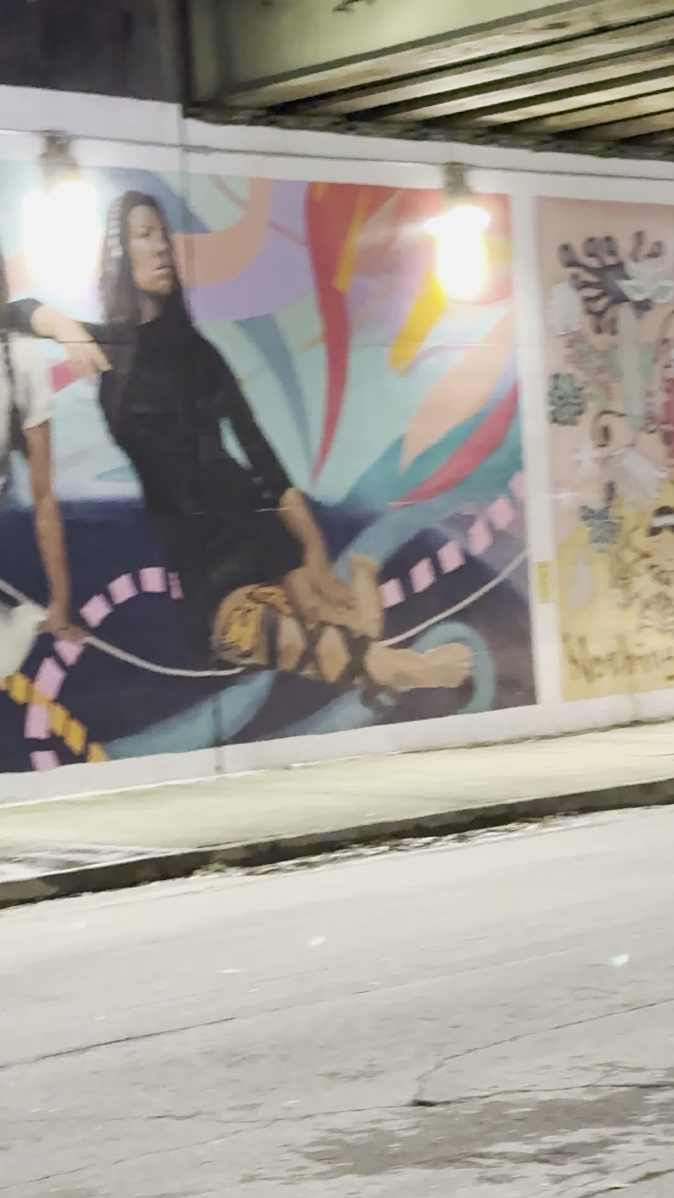 Video review of Candler Park