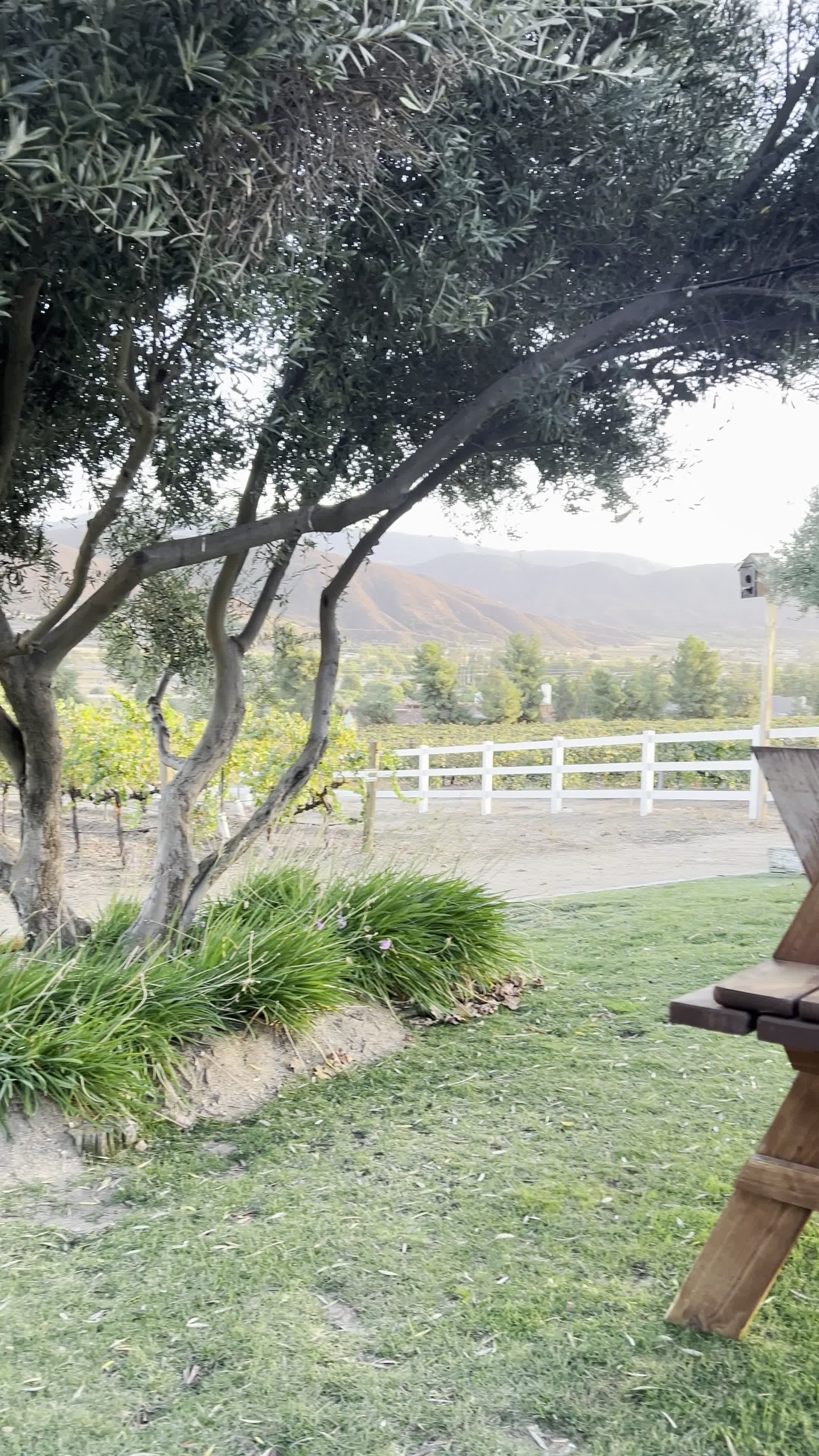 Robert Renzoni Vineyards & Winery