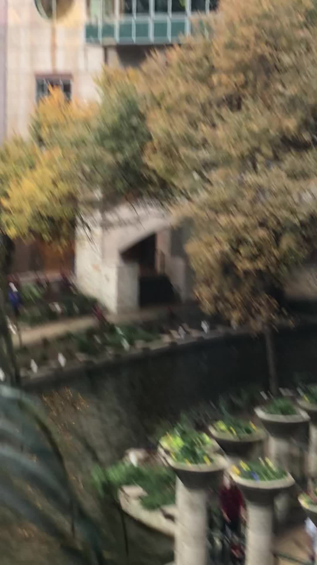 Video review of Rivercenter Mall