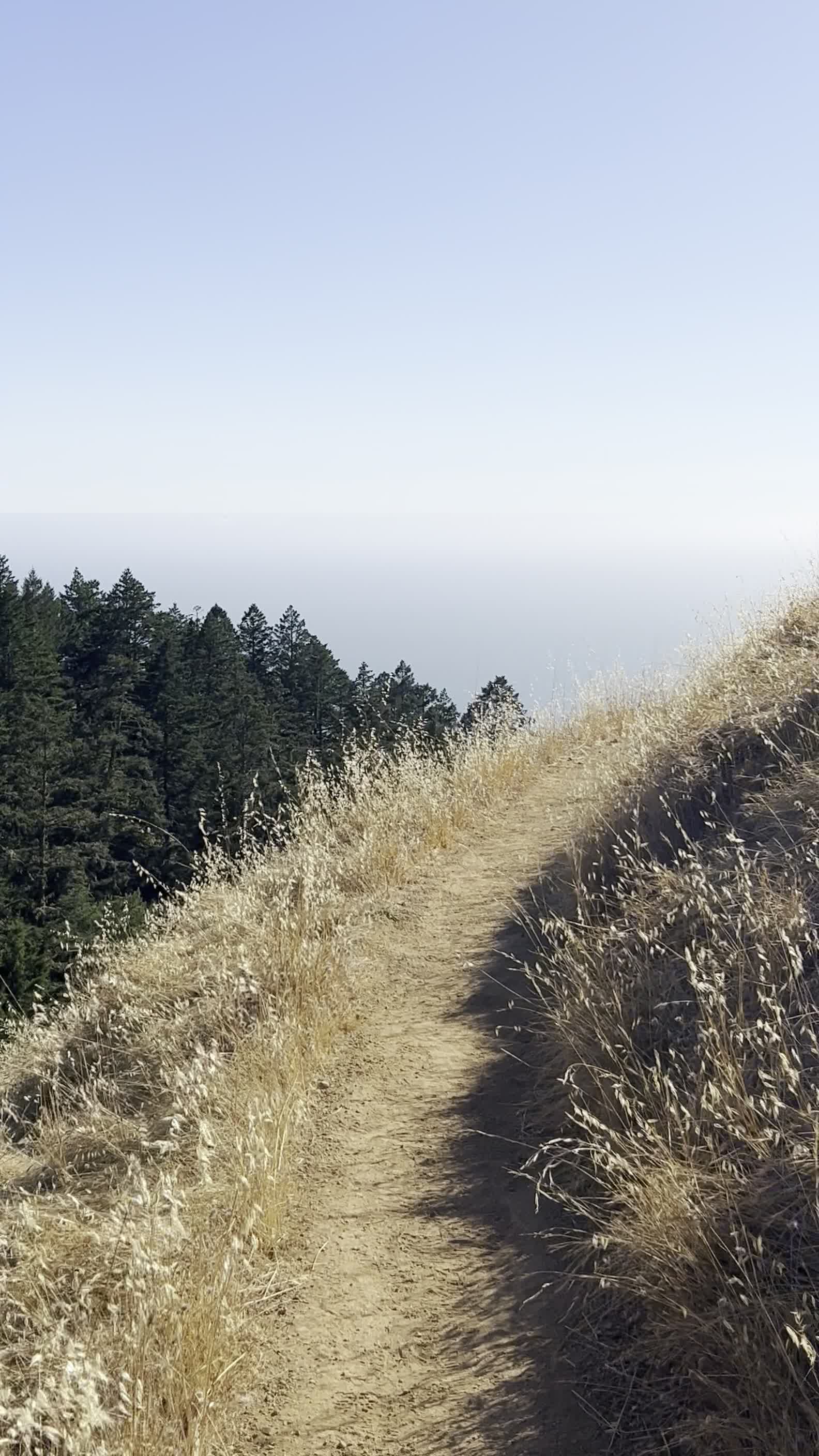 Robert W. Crown Memorial State Beach