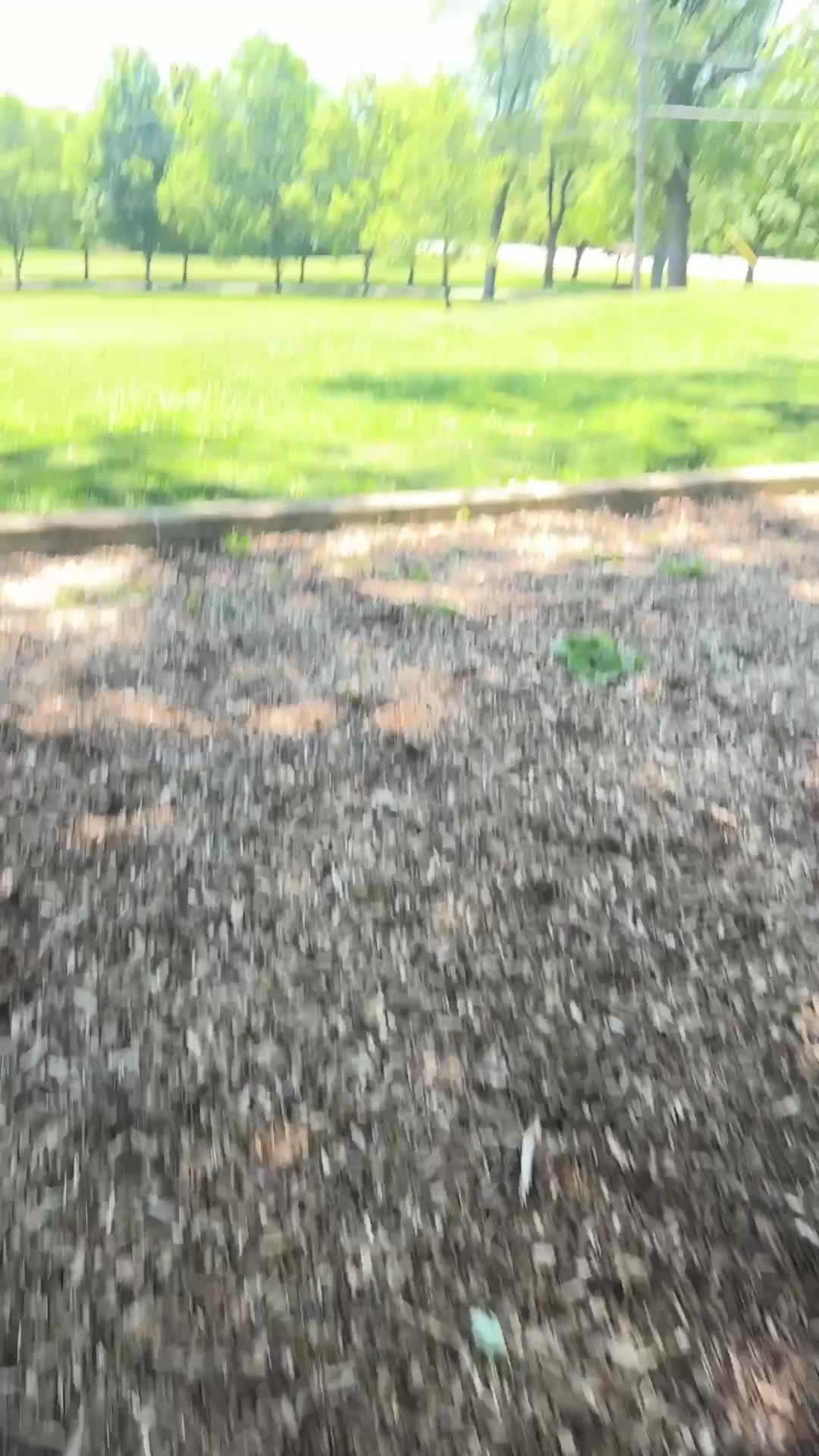 Hillcrest Park