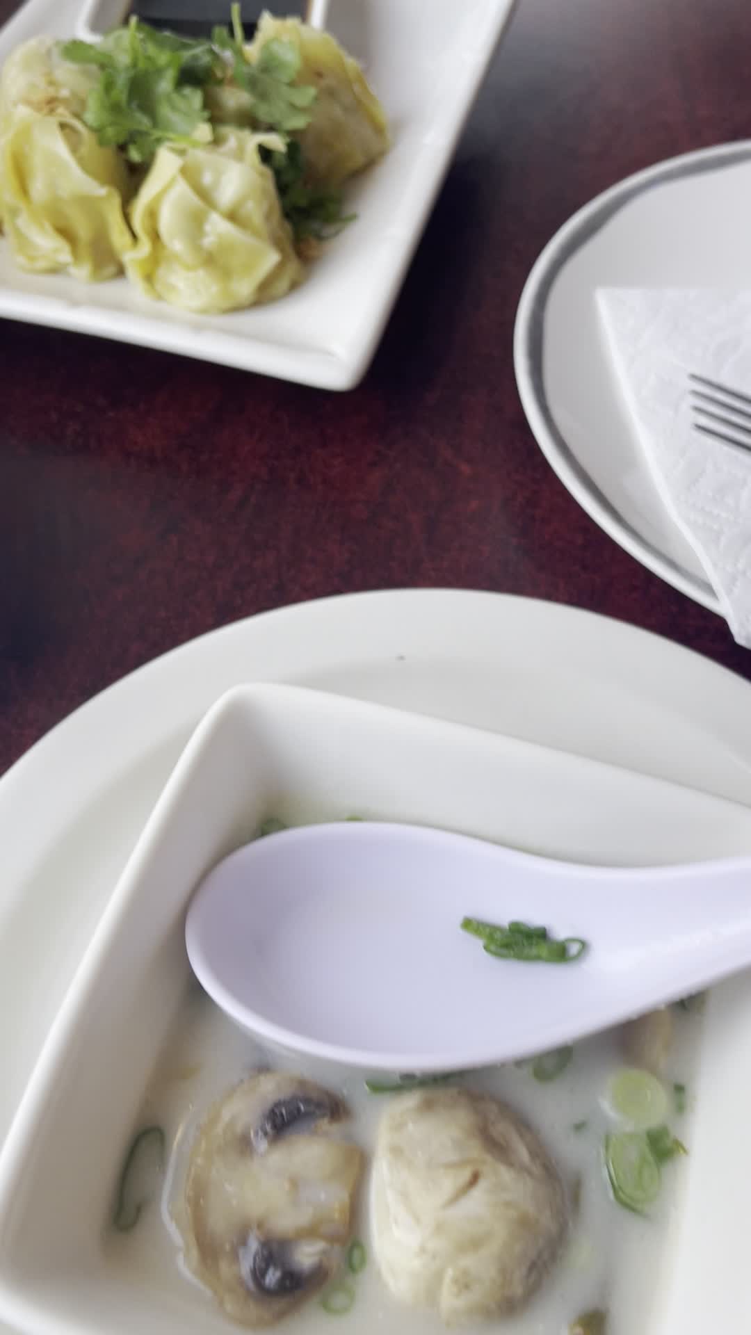 Video review of Siam I Am