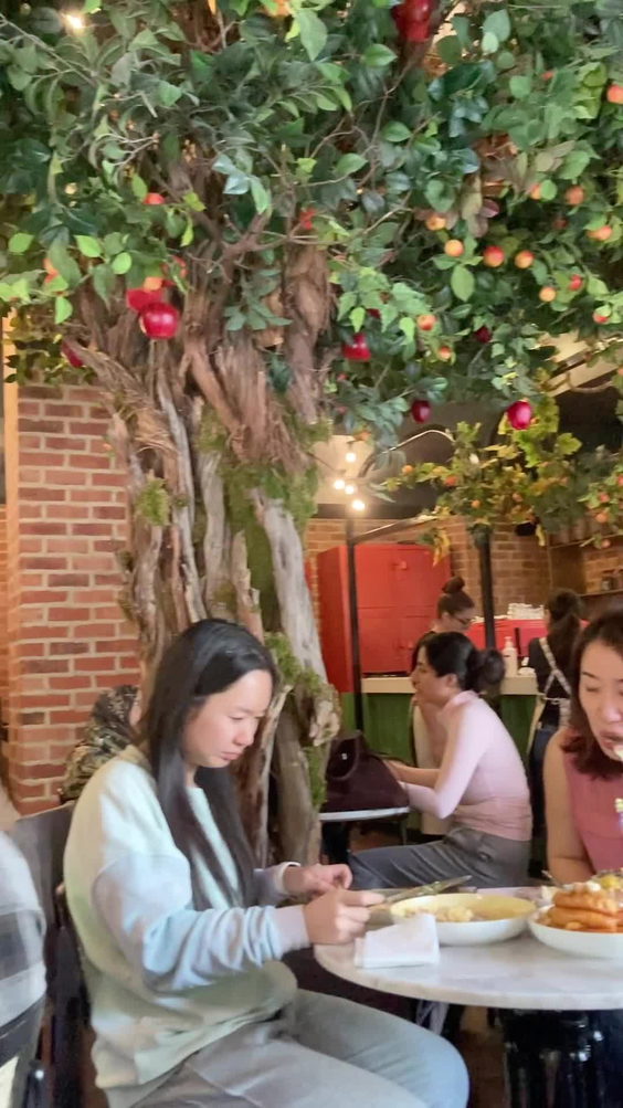 Apple Butter Cafe