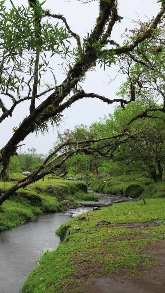 Lohe Valley