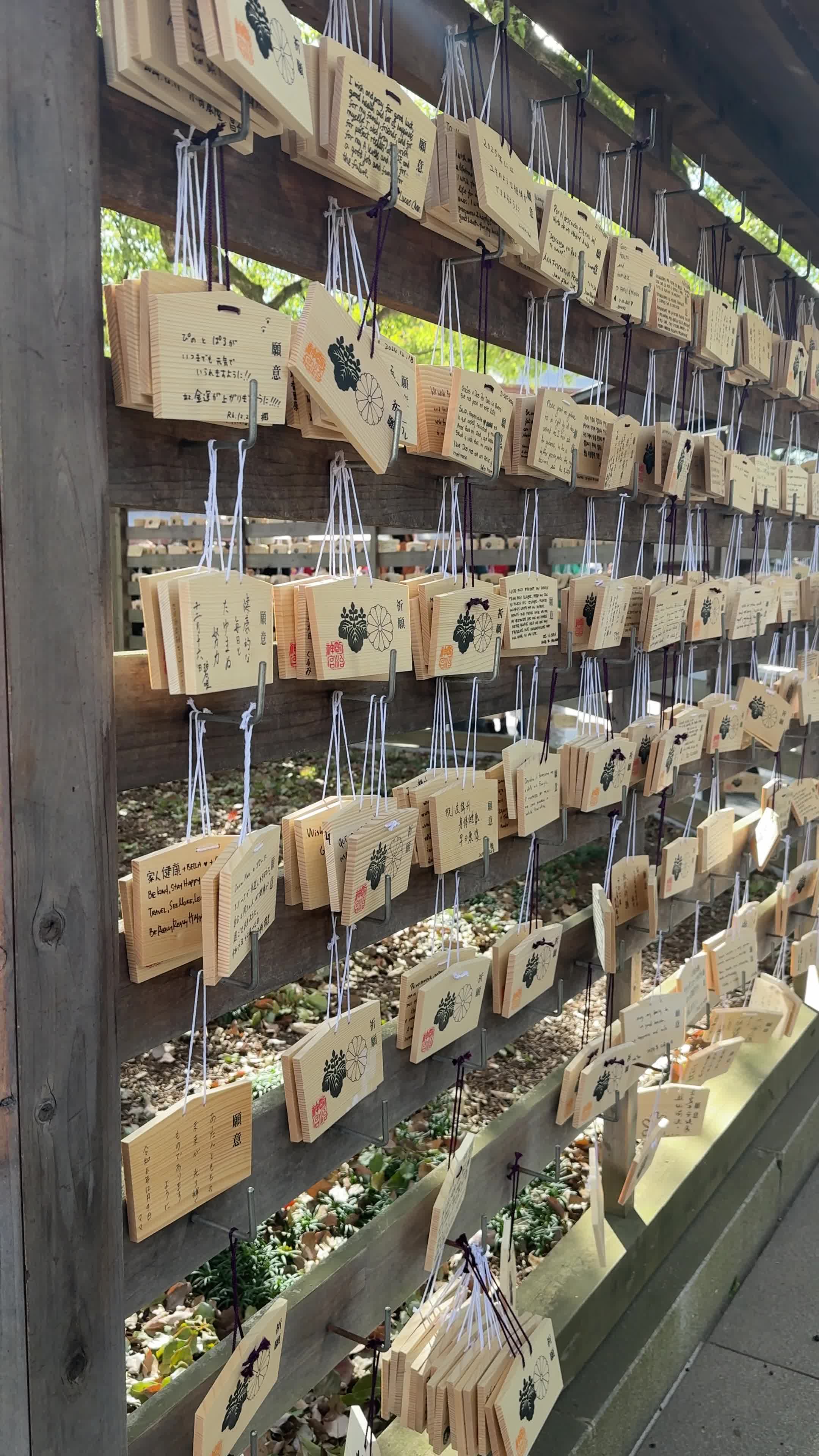 明治神宮 (Meiji Jingu Shrine)