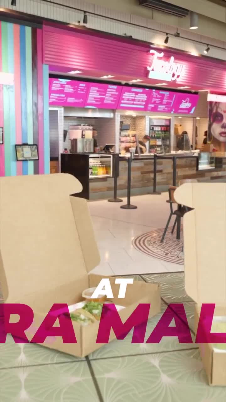 Tacology Express