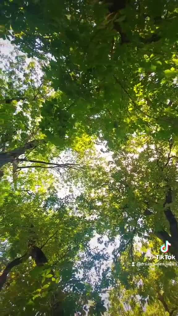 The Elms Hotel & Spa, a Destination by Hyatt Hotel